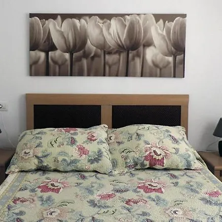 Apartment Casa Arona Matele